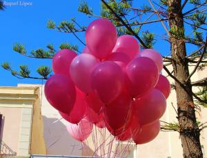 12107197_980614598643843_2511913418700538001_n