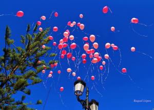 12122662_980618685310101_4271222850267464301_n