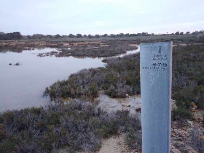 img-20170210-wa0040-1